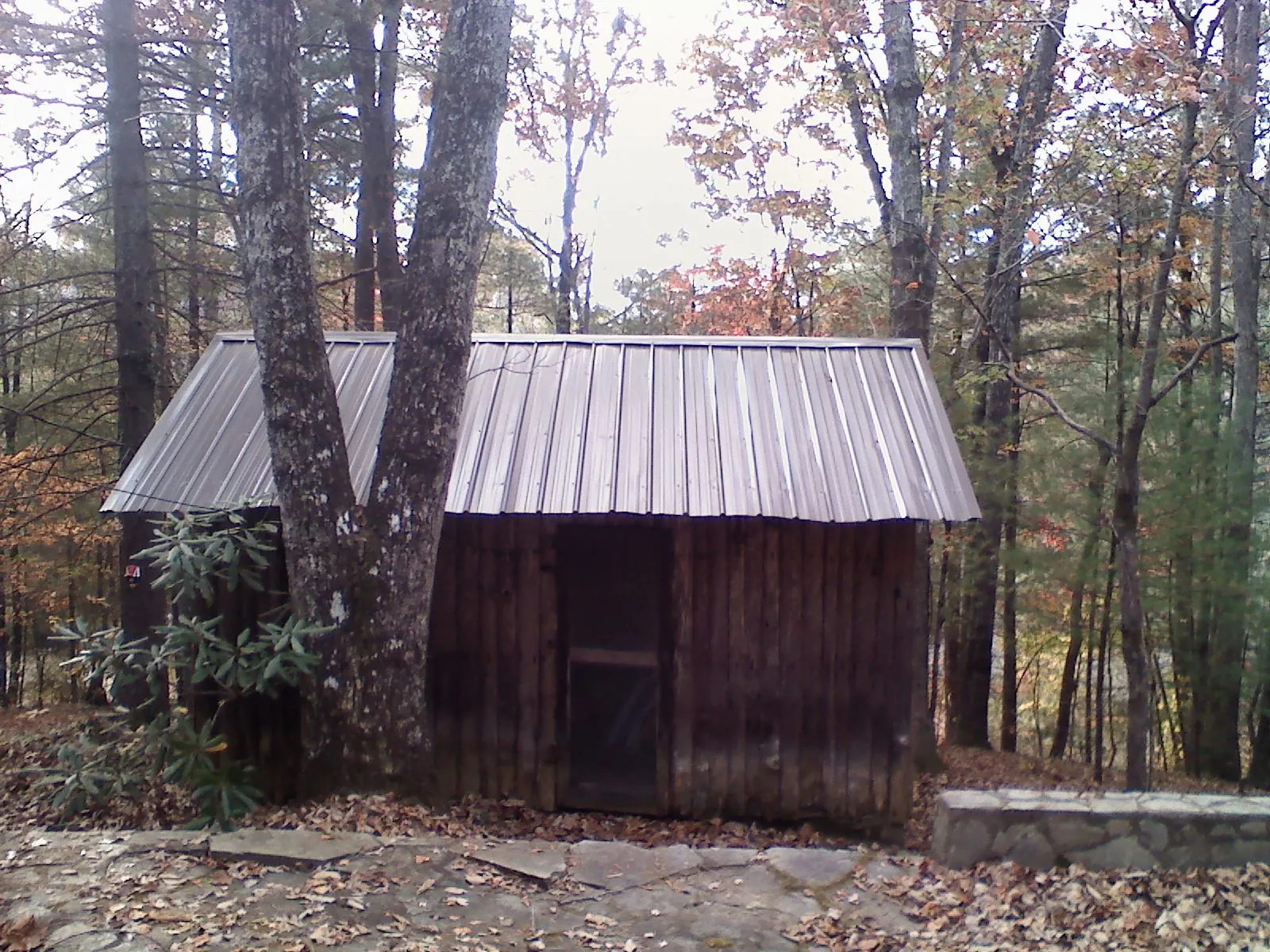 New metal gable roof on a small log shed among the trees in Hebron